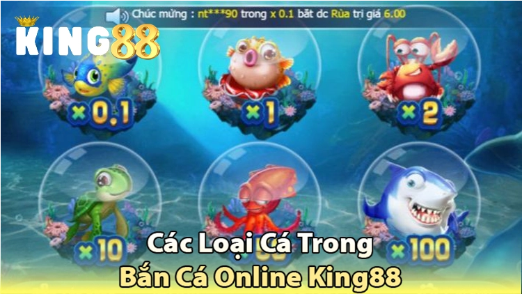 các loại cá trong bắn cá online