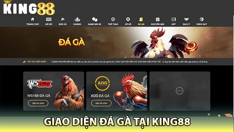 chọn kèo đá gà King88