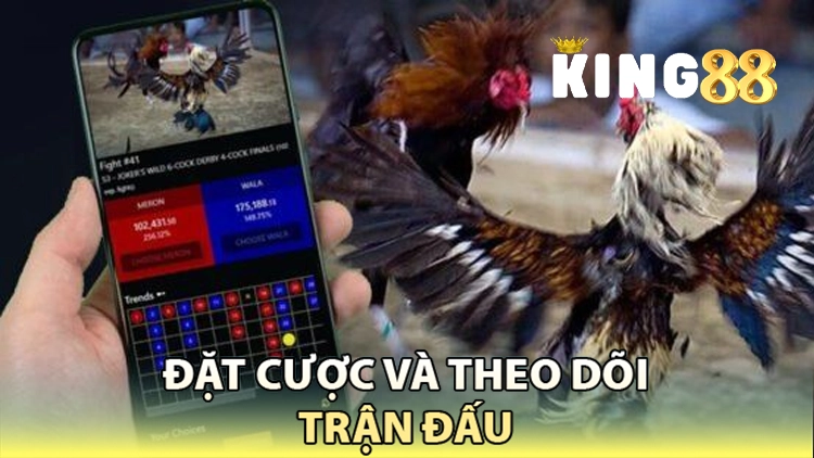 đặt cược và theo dõi trận đấu