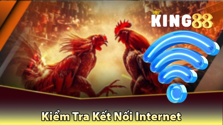 kiểm tra kết nối internet