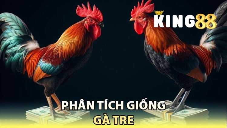 phân tích giống gà tre