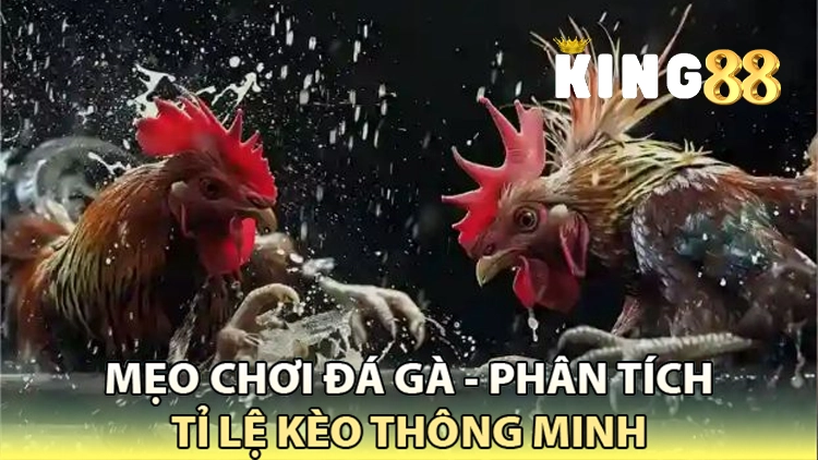 phân tích tỉ lệ kèo