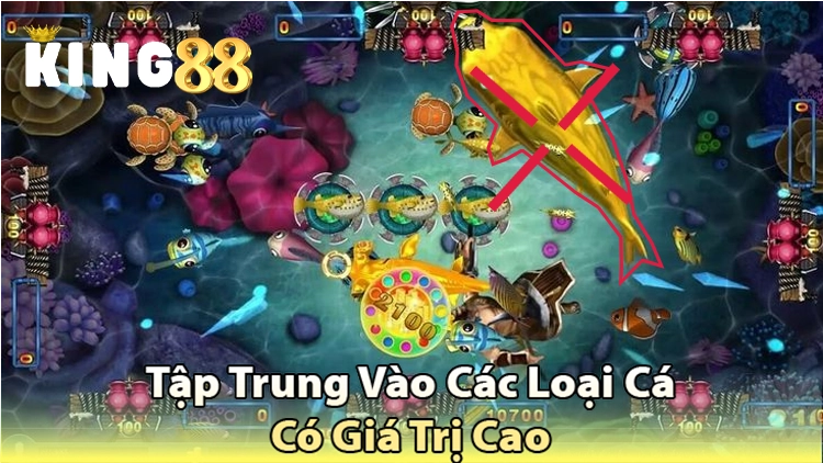 cá giá trị cao