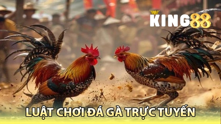 luật chơi đá gà trực tuyến