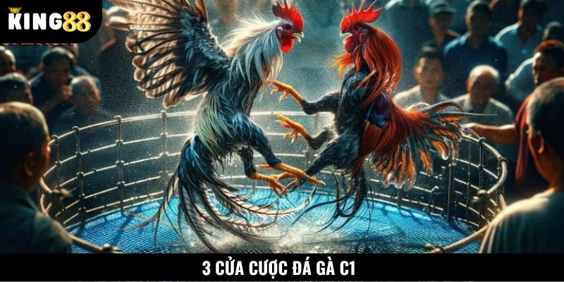 Người chơi có nhiều lựa chọn đặt cược