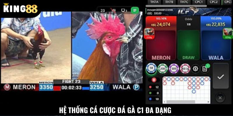 Hệ thống cá cược đa dạng