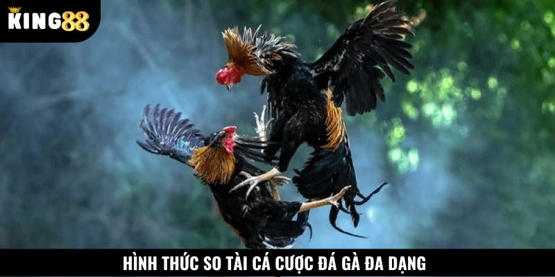 Hình thức cá cược đa dạng