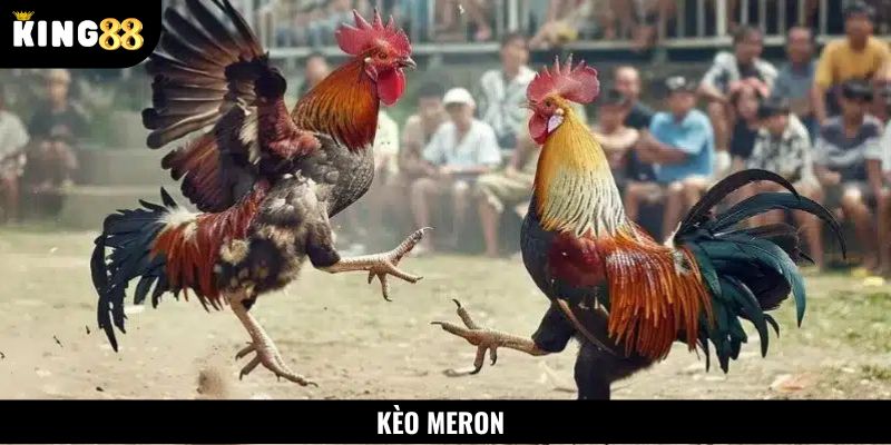 Kèo Meron là hình thức cược hấp dẫn nhất hiện nay