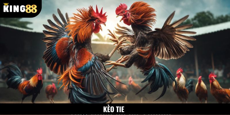 Kèo Tie có tỷ lệ trả thưởng cực cao