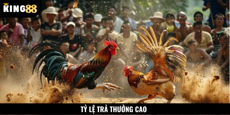 Tỷ lệ trả thưởng đá gà C2 cao vượt trội