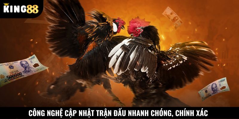 Cược thủ đánh giá cao về công nghệ cập nhật trận đấu tại đá gà Thomo King88