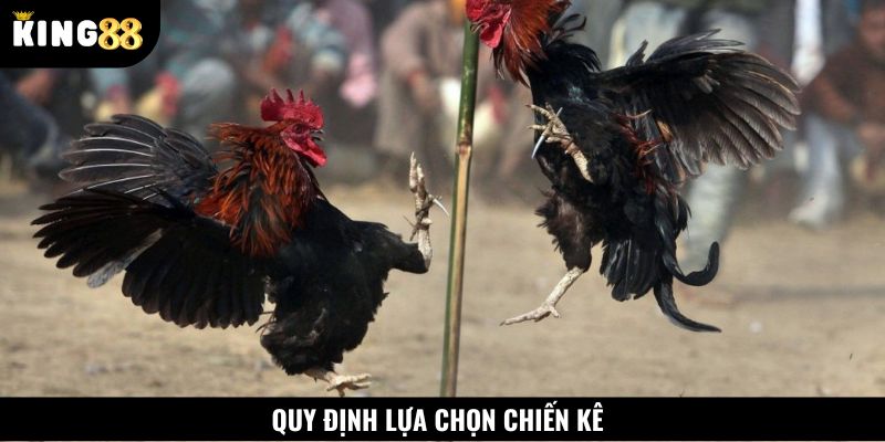 Tìm hiểu quy định lựa chọn chiến kê