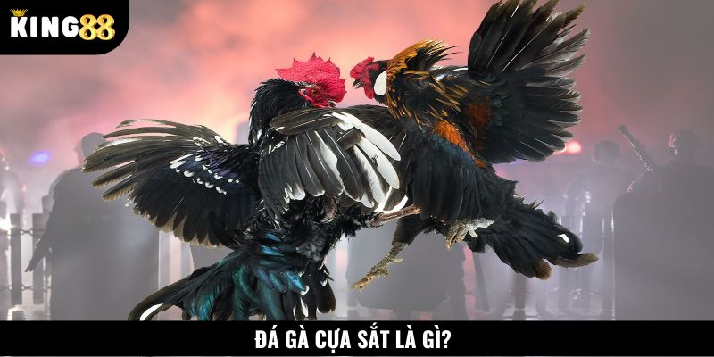 Khái niệm đá gà cựa sắt là gì?