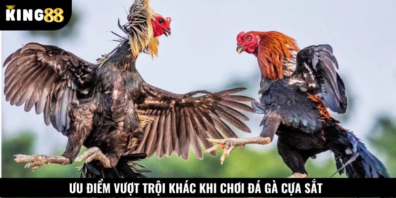 Sân chơi mang đến nhiều lợi ích cho hội viên