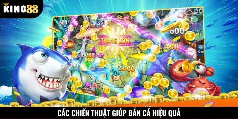 Bỏ túi các mẹo săn cá bách phát bách trúng từ chuyên gia