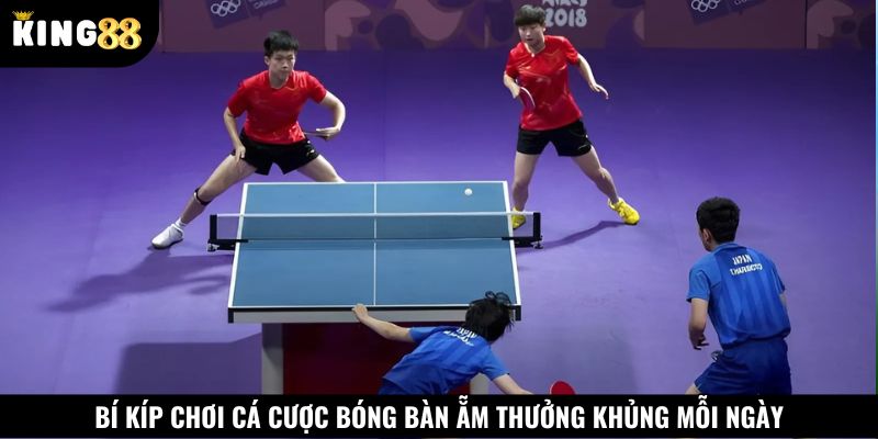 Thu thập thật kỹ thông tin về các tay vợt tham gia thi đấu