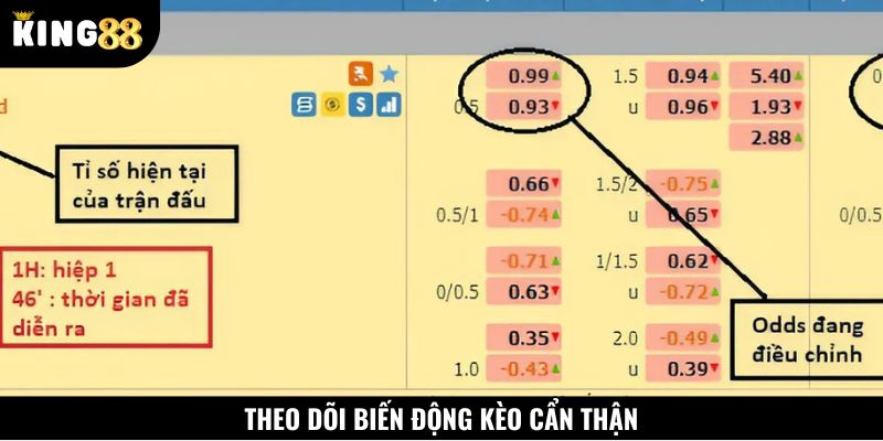 Quan sát diễn biến trên bảng kèo cẩn thận