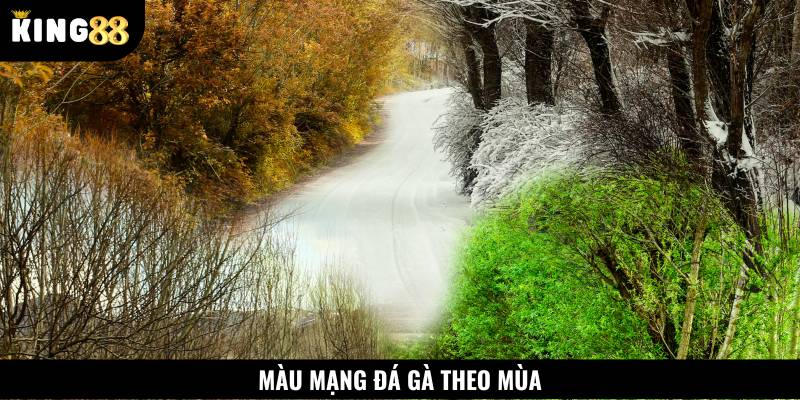 Tuỳ vào từng mùa, sư kê có thể xem màu mạng đá gà phù hợp