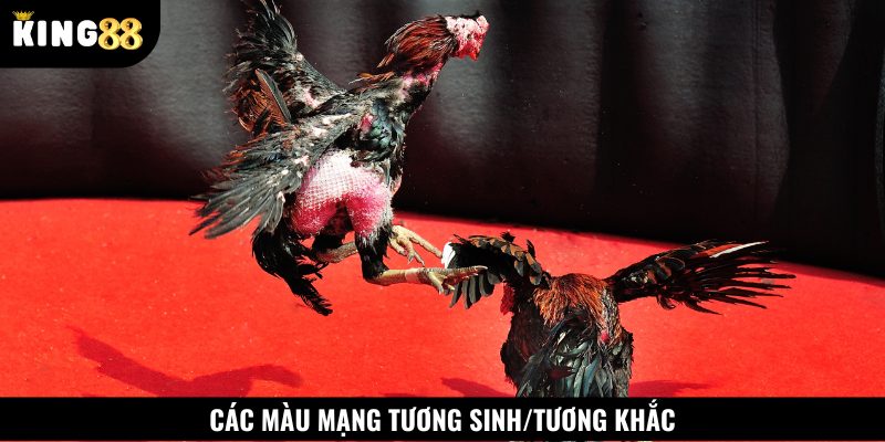 Các màu mạng tương sinh và tương khắc mà sư kê phải ghi nhớ