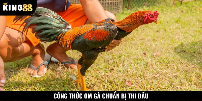 Công thức om gà chuẩn bị thi đấu chỉ với một vài bước