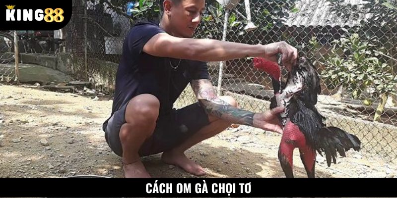 Cách om gà chọi tơ nhanh chóng với các nguyên liệu dễ tìm