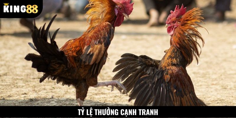 Tỷ lệ thưởng tại sảnh cược này cao hơn nhiều so với các đối thủ