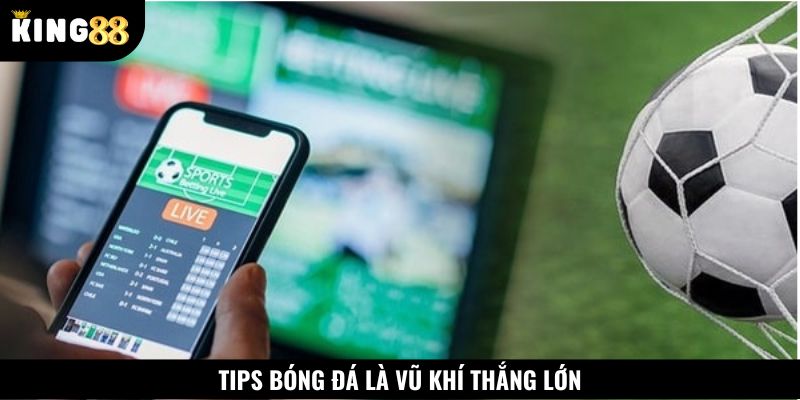 Lý do tips bóng đá là công cụ không thể thiếu khi cá cược